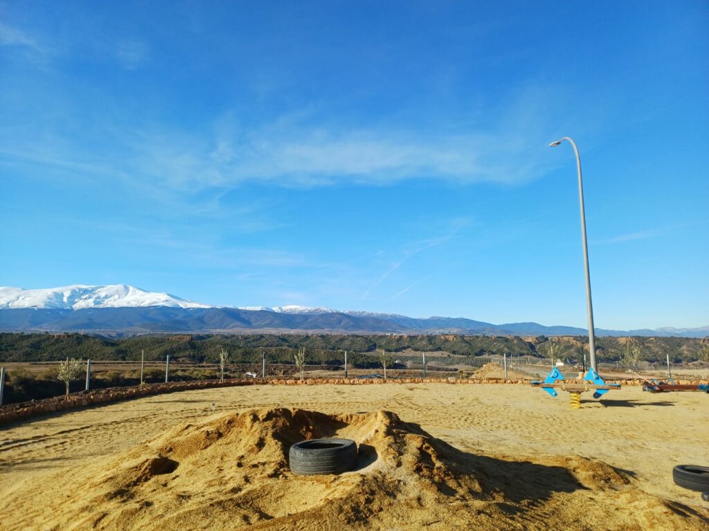 WhatsApp Image 2026-01-11 at 15.51.57(1)