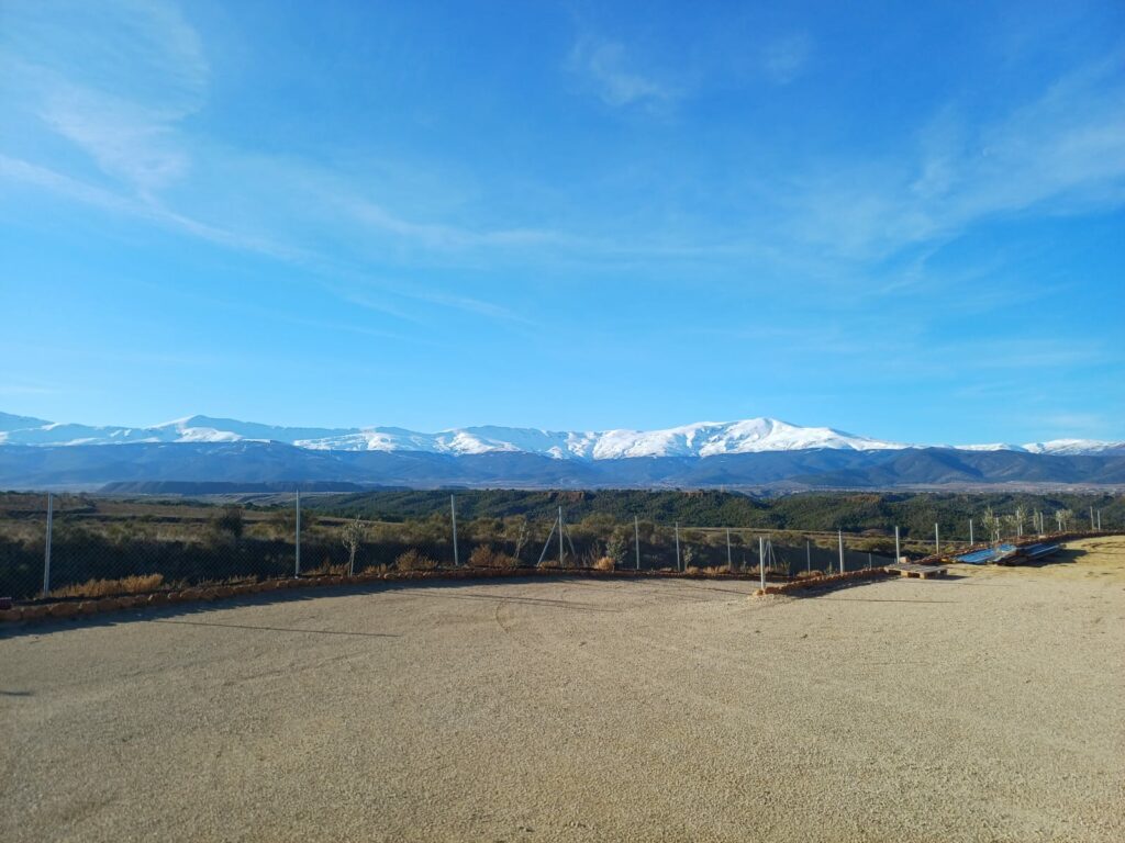 WhatsApp Image 2026-01-11 at 15.51.58