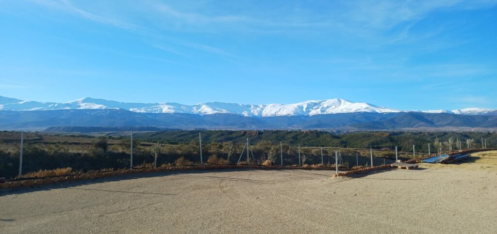 WhatsApp Image 2026-01-11 at 15.51.58