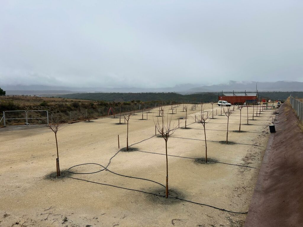 WhatsApp Image 2026-01-11 at 15.51.58(1)