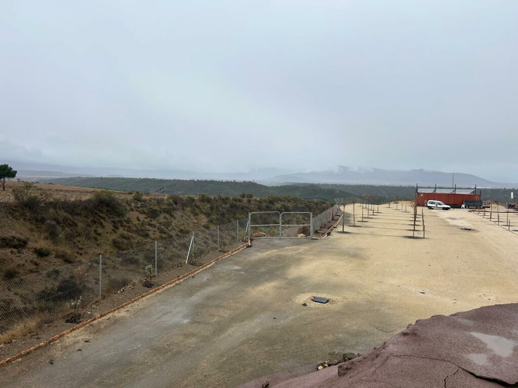 WhatsApp Image 2026-01-11 at 15.51.58(2)