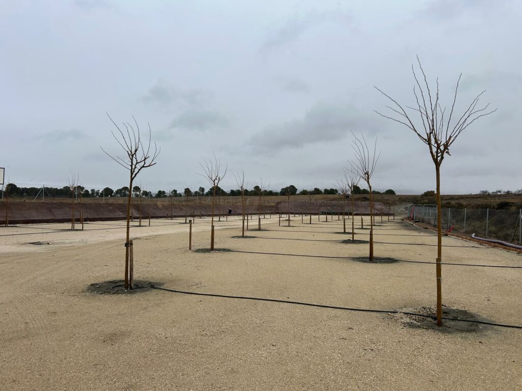 WhatsApp Image 2026-01-11 at 15.51.59(1)