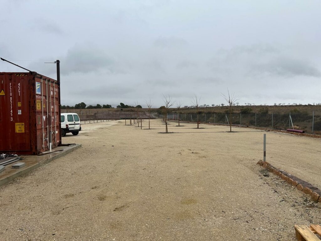 WhatsApp Image 2026-01-11 at 15.52.00