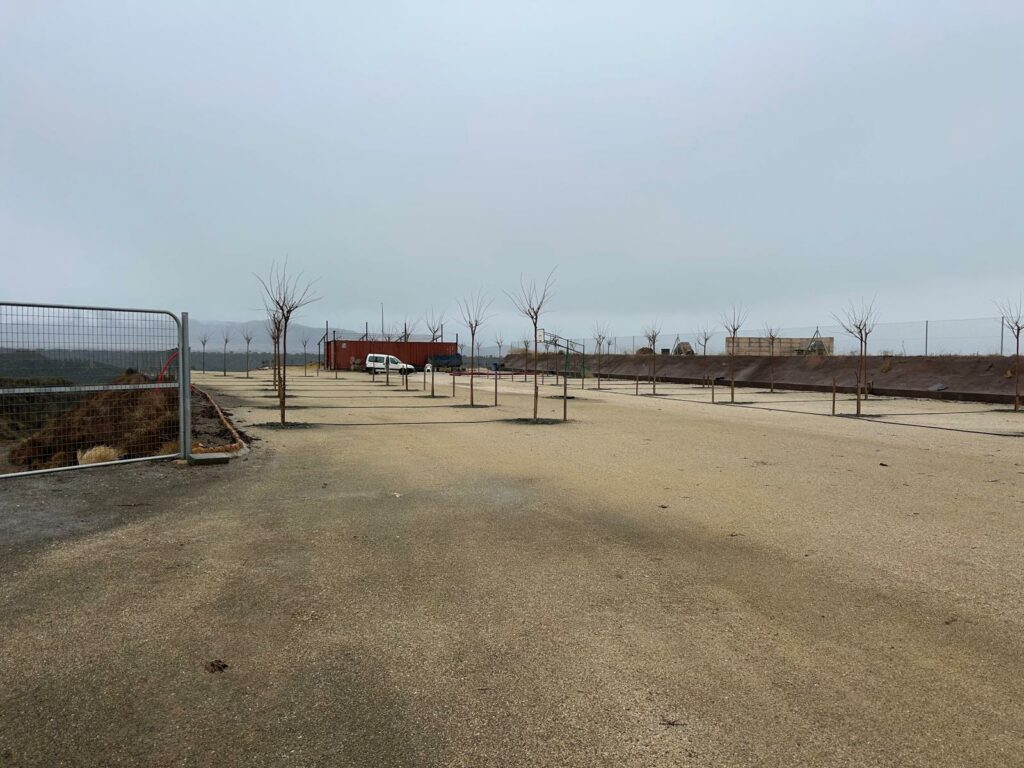 WhatsApp Image 2026-01-11 at 15.52.01