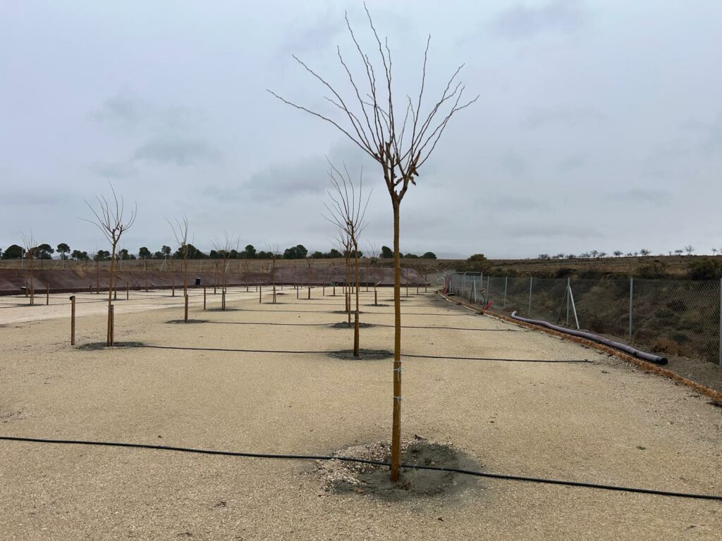 WhatsApp Image 2026-01-11 at 15.52.08