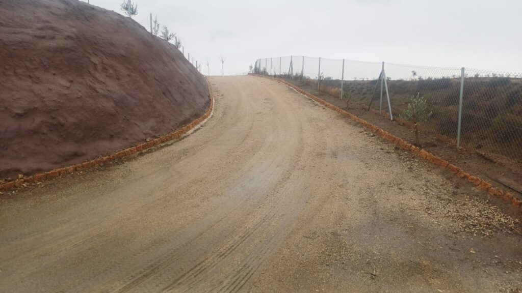 WhatsApp Image 2026-01-11 at 15.52.12